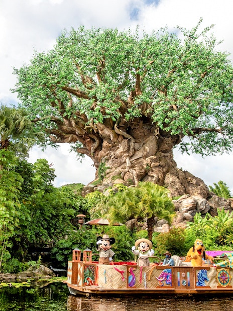 Characters on a boat in front of the Tree of Life at Animal Kingdom, Orlando.