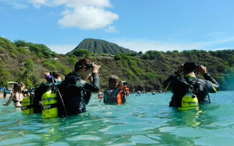 Snorkelers preparing in the water at Hanauma Bay Nature Preserve, Hawaii.