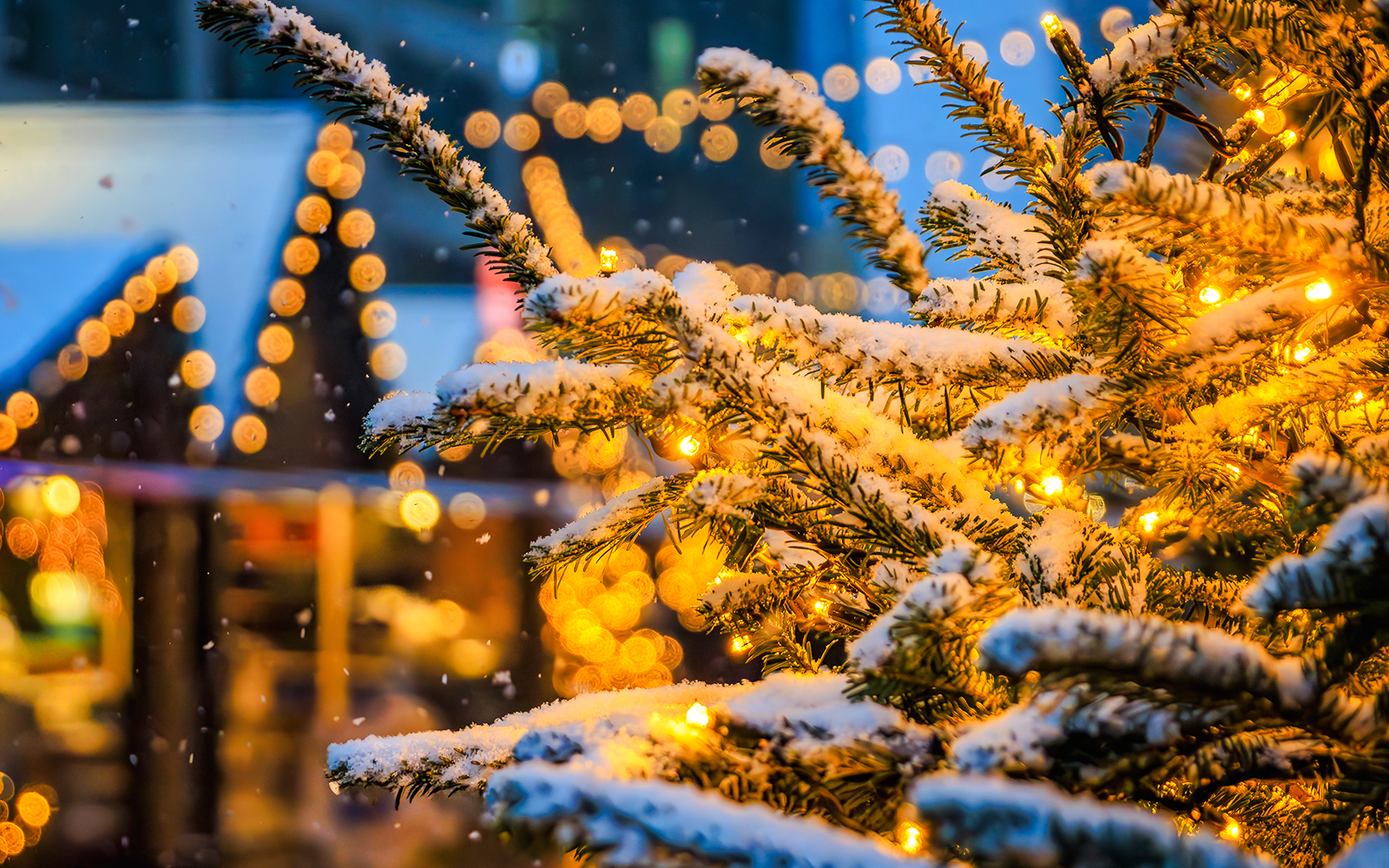 Snow-covered branches with twinkling lights in a festive winter setting.