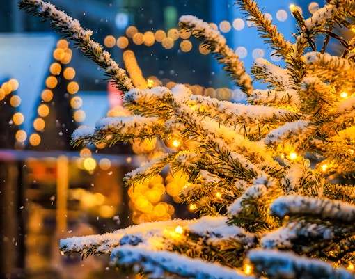 Snow-covered branches with twinkling lights in a festive winter setting.