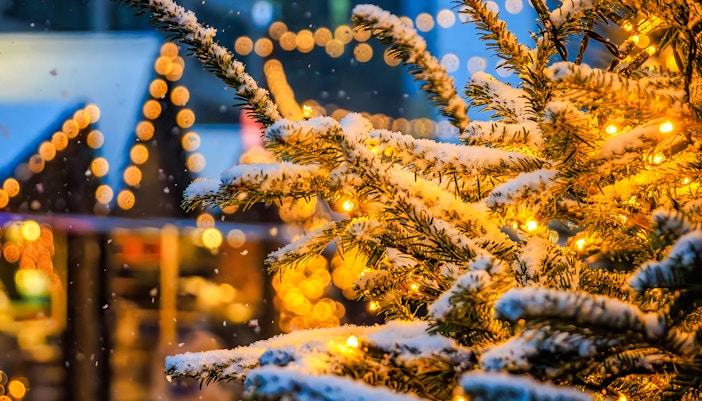 Snow-covered branches with twinkling lights in a festive winter setting.