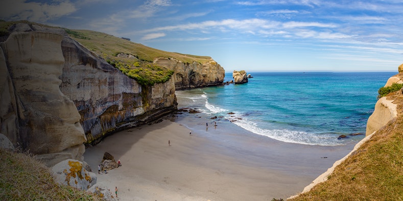 Descubra as melhores experiências em Dunedin