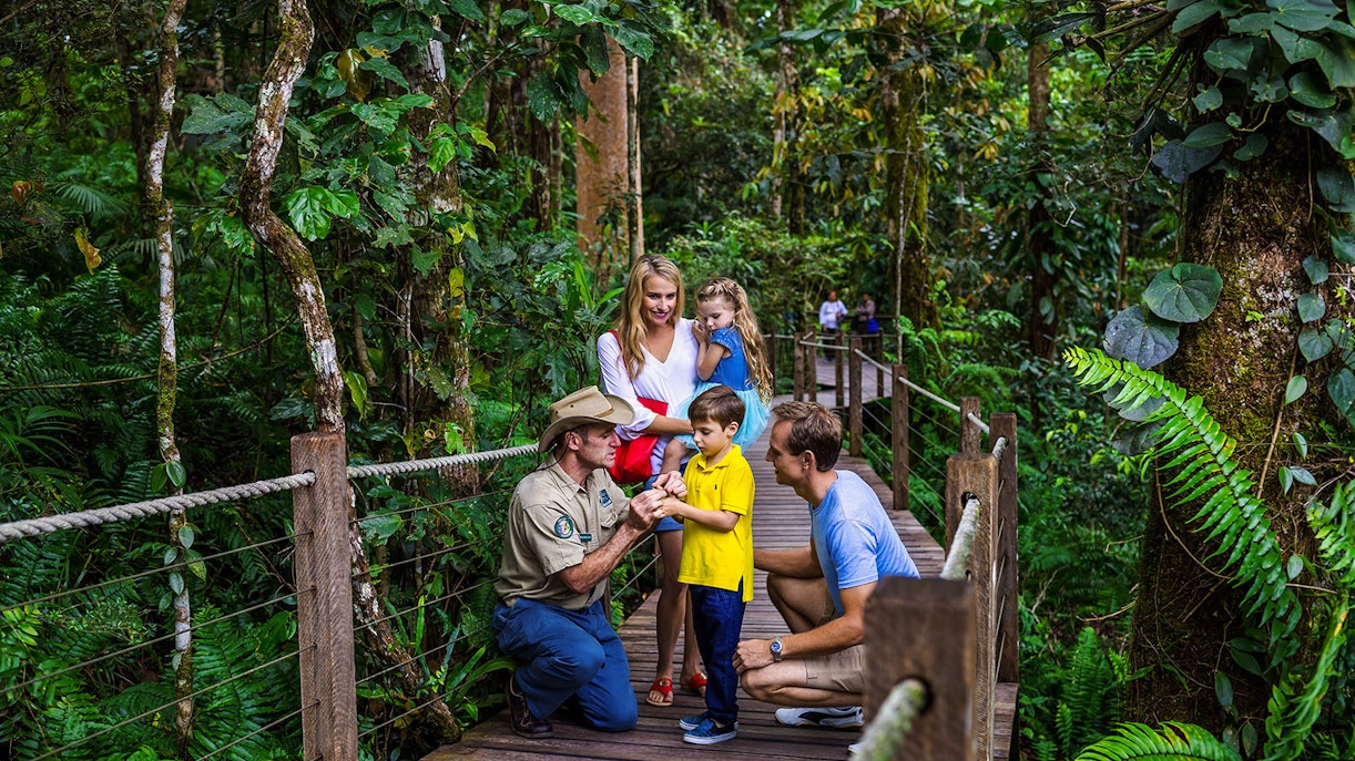 Family interacting with guide on rainforest boardwalk at Barron Falls Skyrail Station.