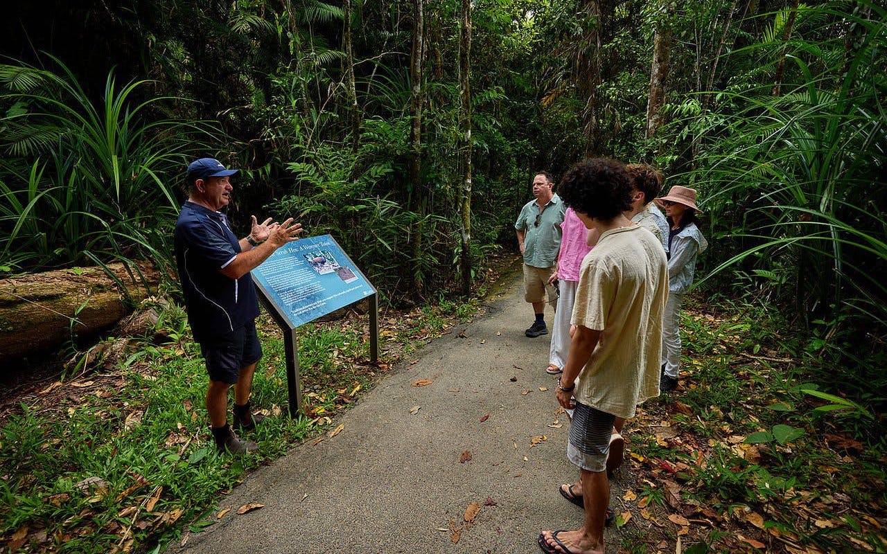 visite guidée de jour et nocturne à paronella park, sur la cassowary coast-2