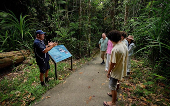 paronella park cassowary coast guided day and night tour-2