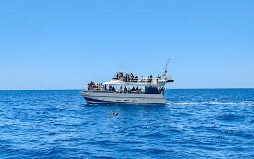 Tourists on a boat during Dolphin & Whale Watching Cruise with glass bottom viewing.