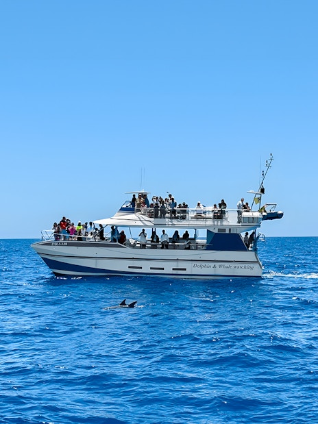 Tourists on a boat during Dolphin & Whale Watching Cruise with glass bottom viewing.
