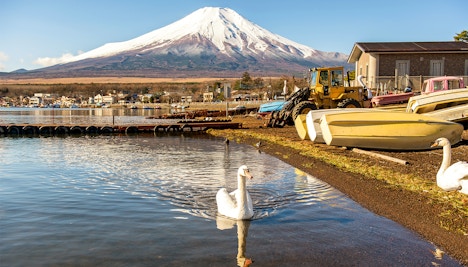 About Mt. Fuji