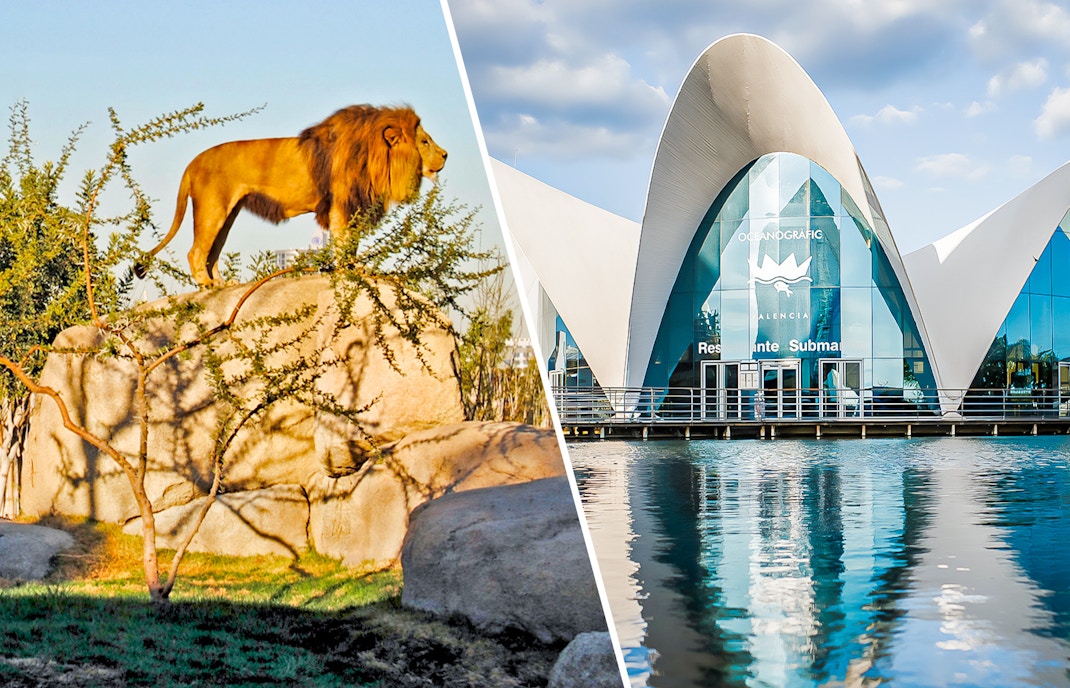 Bioparc Valencia and Oceanogràfic
