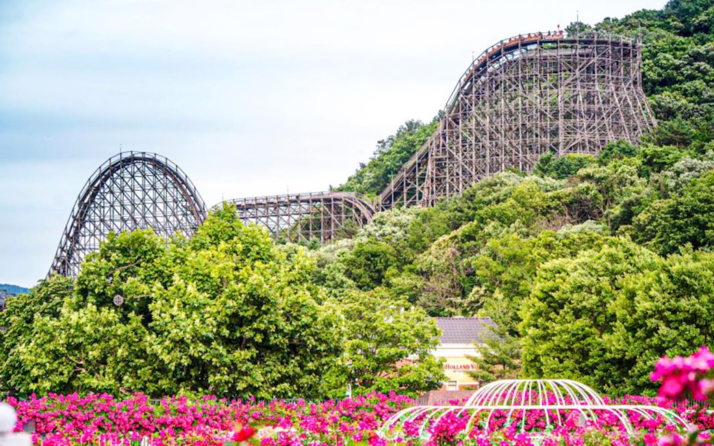 Wooden roller coaster surrounded by lush greenery and vibrant flowers.