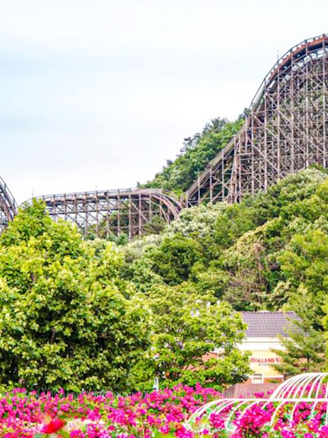 Wooden roller coaster surrounded by lush greenery and vibrant flowers.