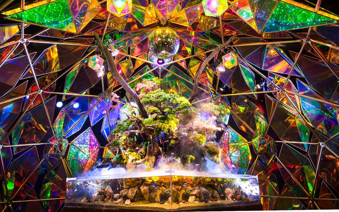 Nara Kingyo Museum exhibit with colorful geometric mirrors and vibrant fish tank.
