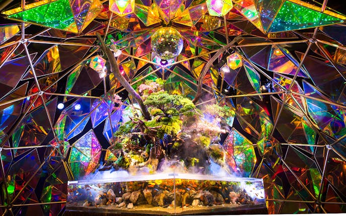 Nara Kingyo Museum exhibit with colorful geometric mirrors and vibrant fish tank.