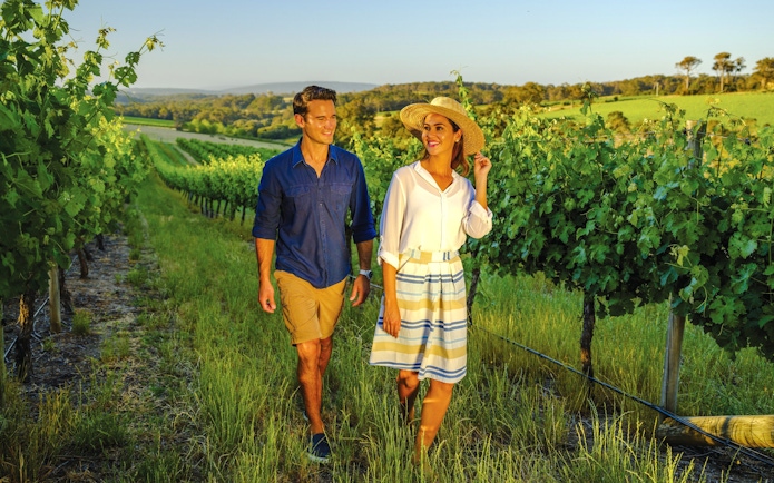 Couple walking through vineyard at sunset on Yarra Valley Small Group Tour.
