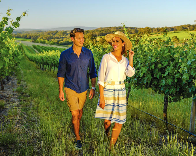From Melbourne: Yarra Valley Small Group Tour with Chandon stop, Kangaroo Spotting at Sunset & Food Tasting