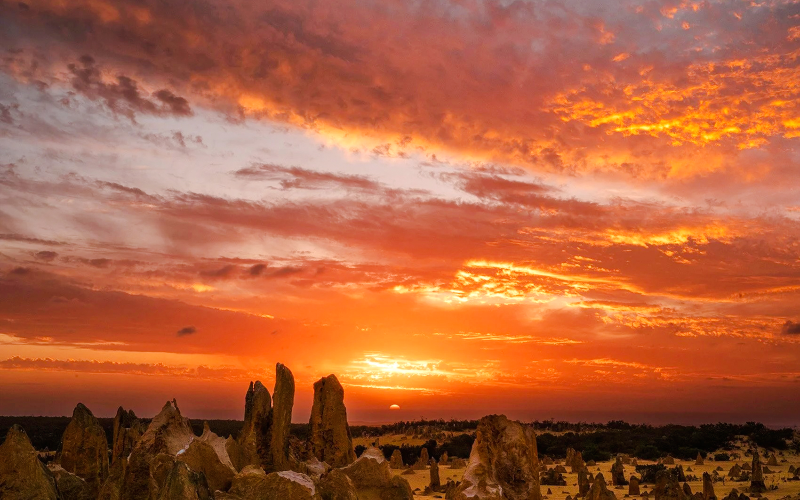 Pinnacles Desert at sunset with vibrant sky, ideal for stargazing and wildlife spotting tour.