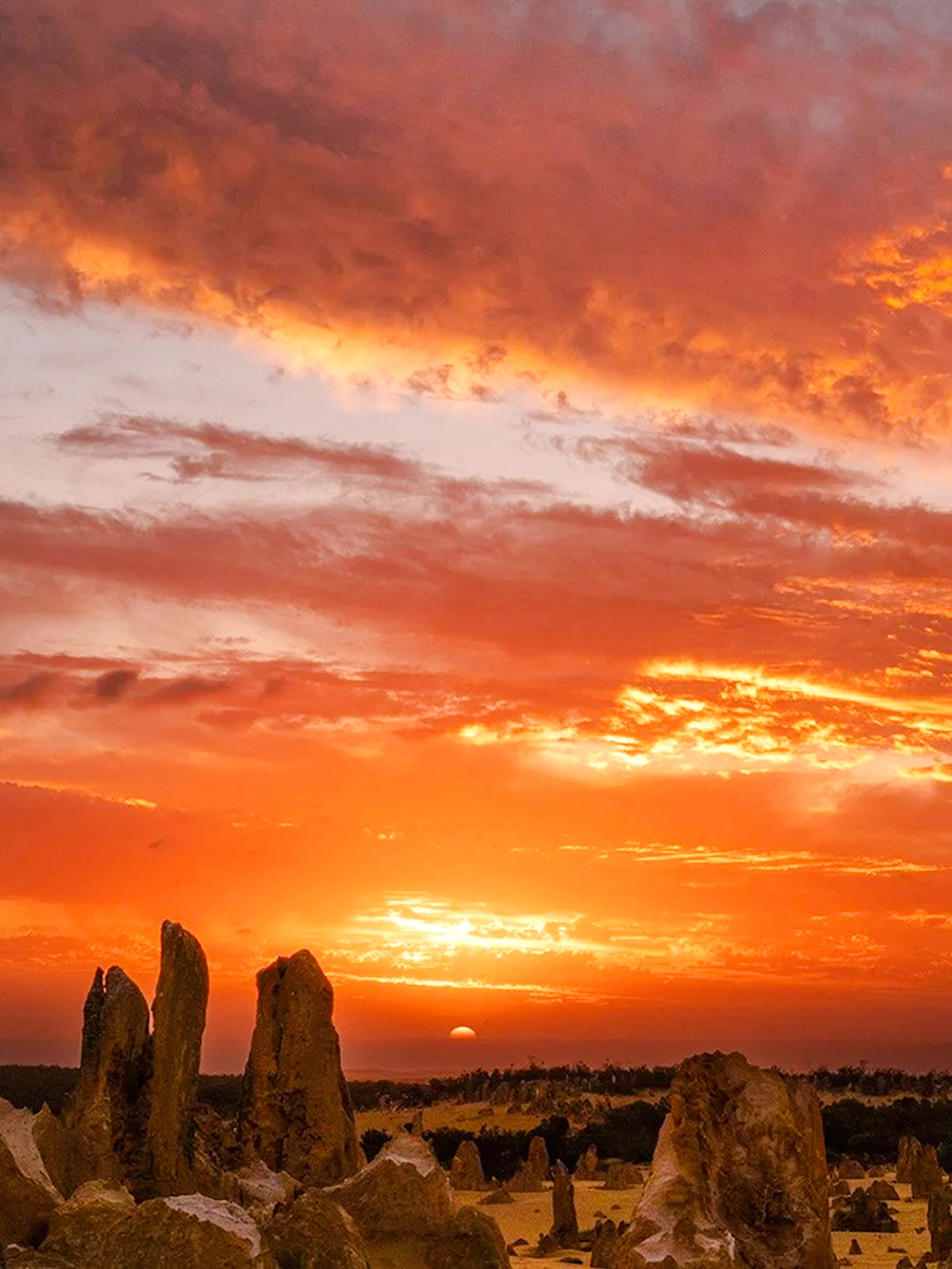 Pinnacles Desert at sunset with vibrant sky, ideal for stargazing and wildlife spotting tour.