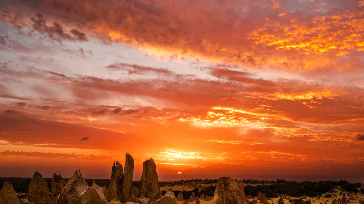 Pinnacles Desert at sunset with vibrant sky, ideal for stargazing and wildlife spotting tour.