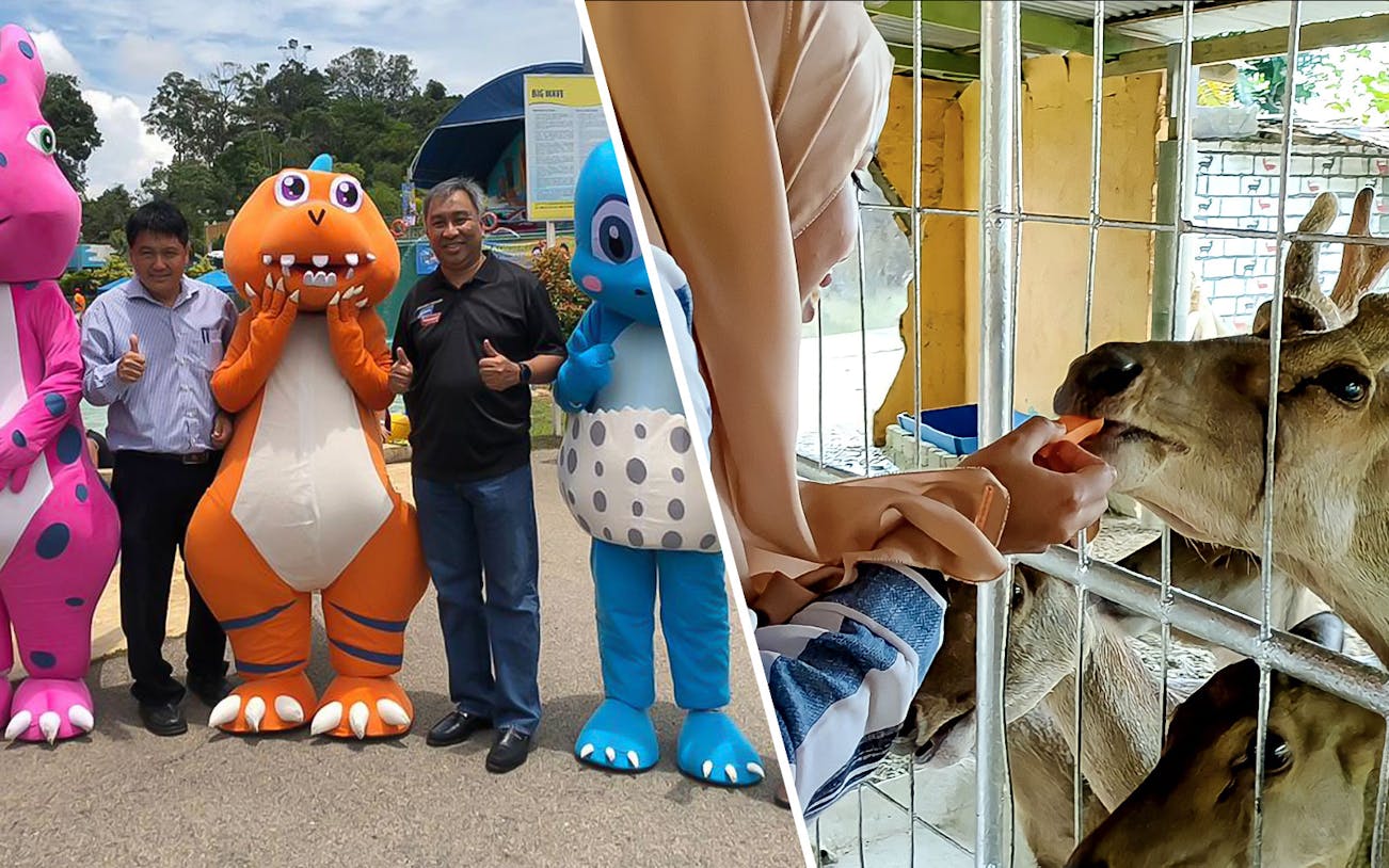 Visitors with dinosaur mascots at Melaka Wonderland and feeding animals at Melaka Crocodile Park.