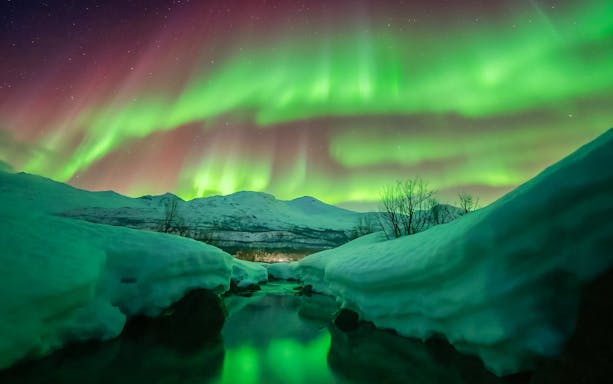 Northern lights over snowy landscape in Tromso, Norway.