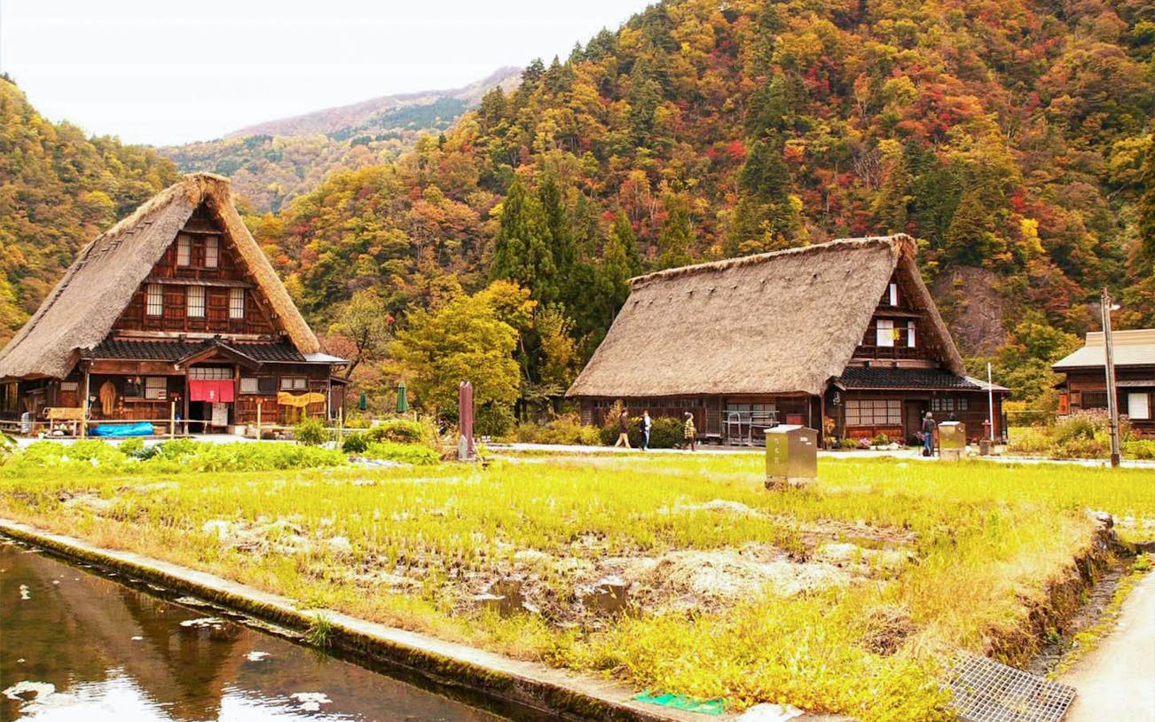 Traditional thatched-roof houses in Shirakawago village, surrounded by autumn foliage, Japan.