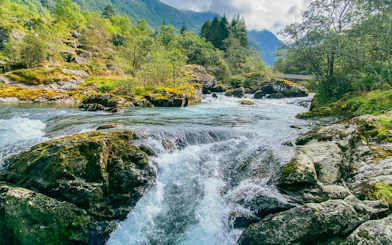 River flowing through lush forest in Folgefonna National Park, Norway.