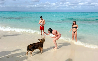 nassau party catamaran cruise to private beach club with snorkeling, pigs & turtles, and lunch-3