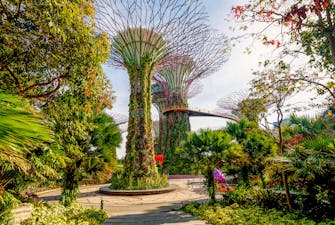 OCBC Skyway at Gardens by the Bay Singapore