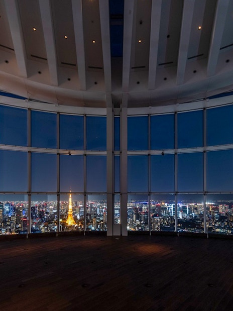 Roppongi Hills Observation Deck view of Tokyo skyline at night with Tokyo Tower.