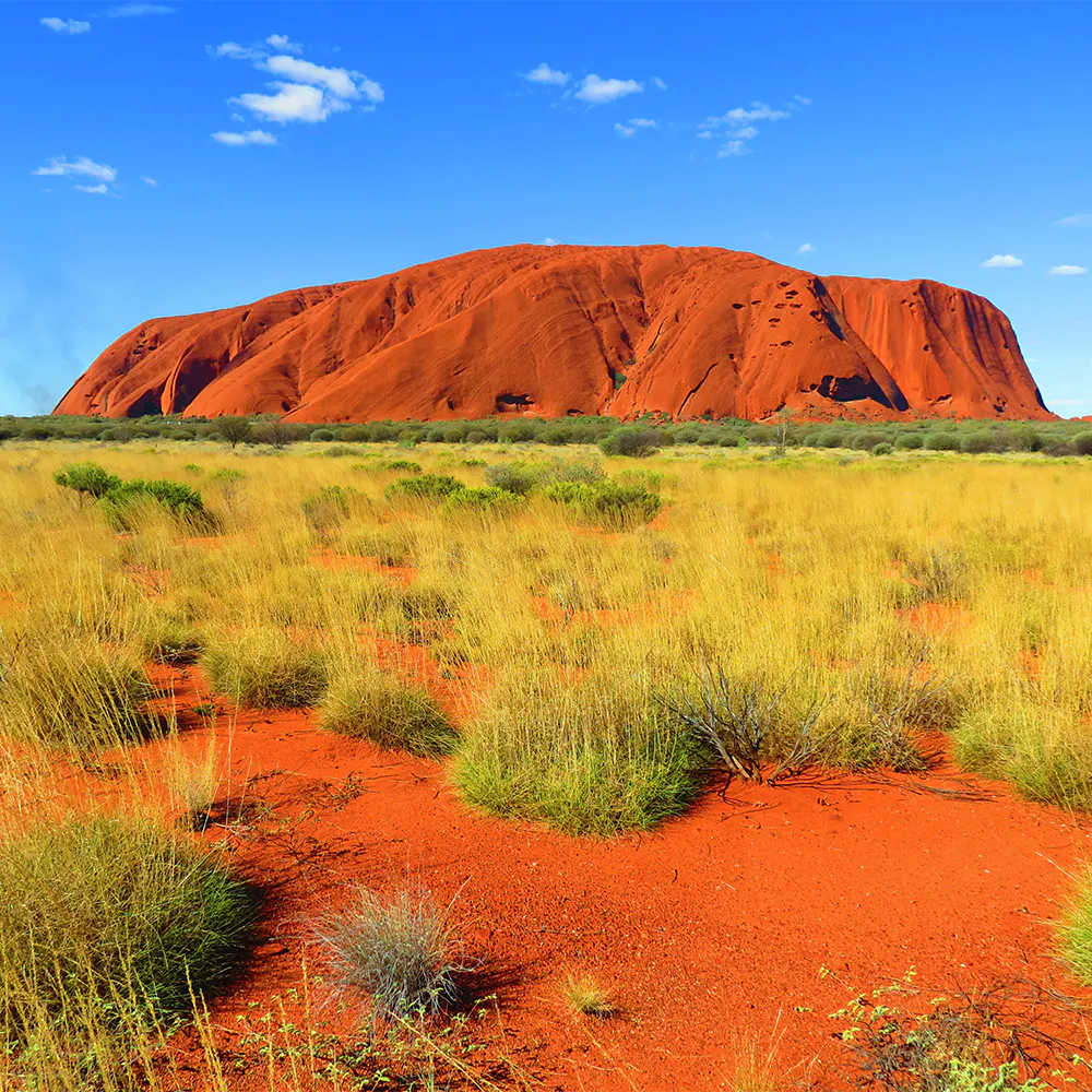 Dingen om te doen in Uluru