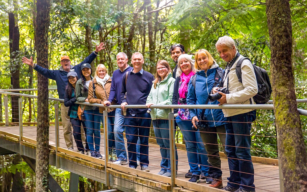 Tour group on the Boardwalk at Scenic World, Blue Mountains, surrounded by lush forest.