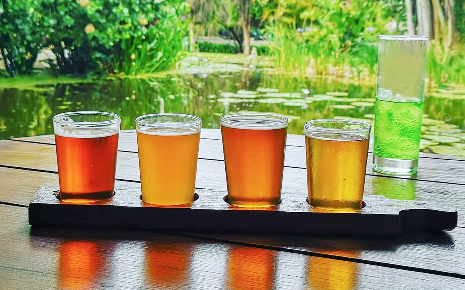 Non alcoholic wine tasting on Franschhoek Wine Tram Xplorer Tour, Cape Town.