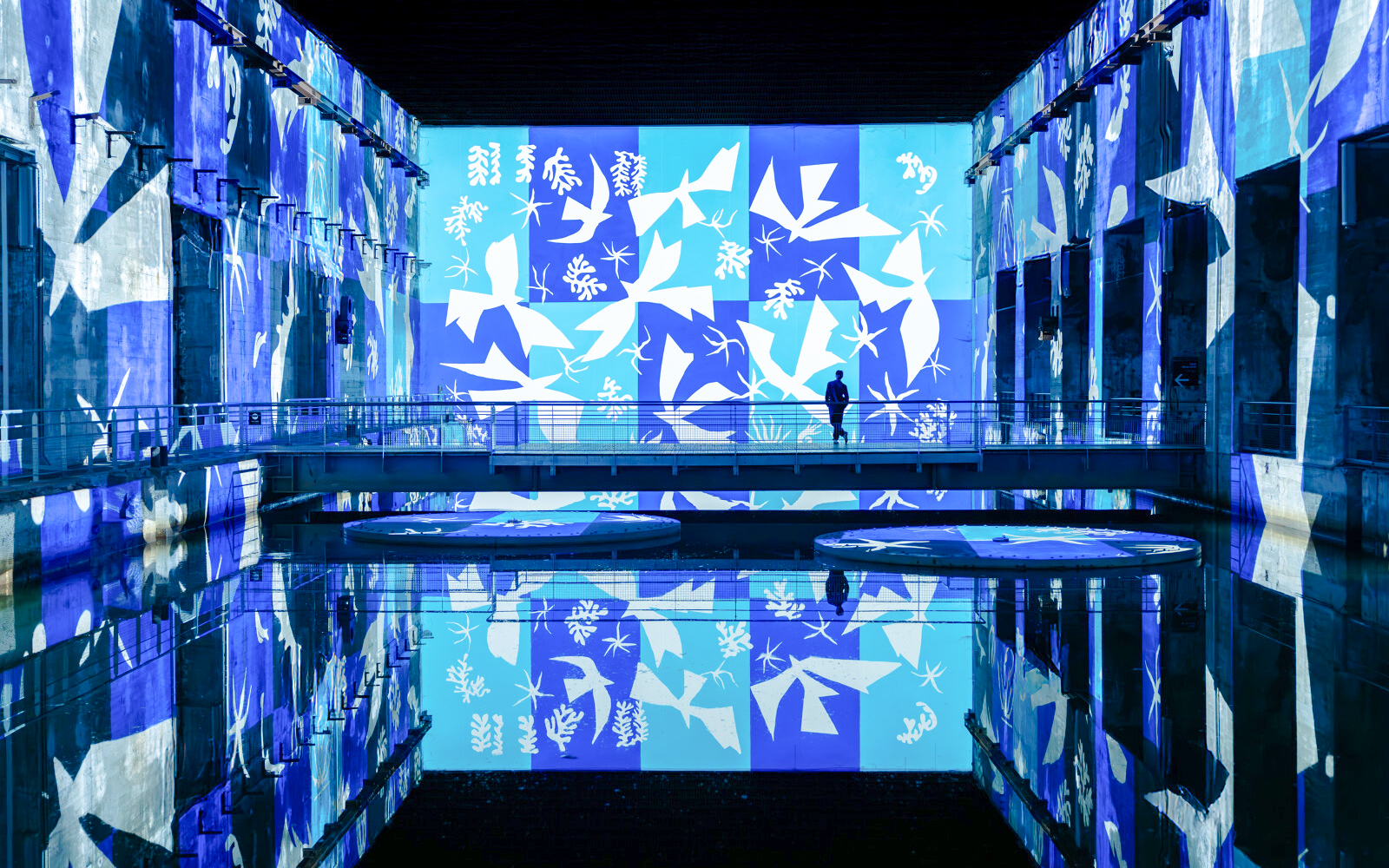 Matisse artwork projected in blue at Bassins des Lumières exhibition.