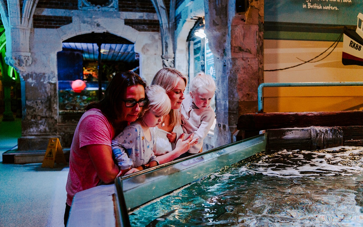 Guests observing marine life at SEA Life Brighton.