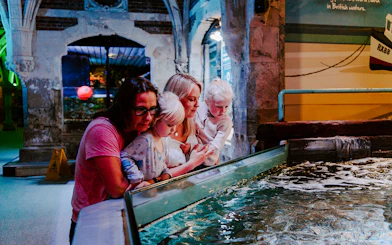 Guests observing marine life at SEA Life Brighton.