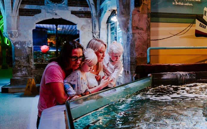 Guests observing marine life at SEA Life Brighton.
