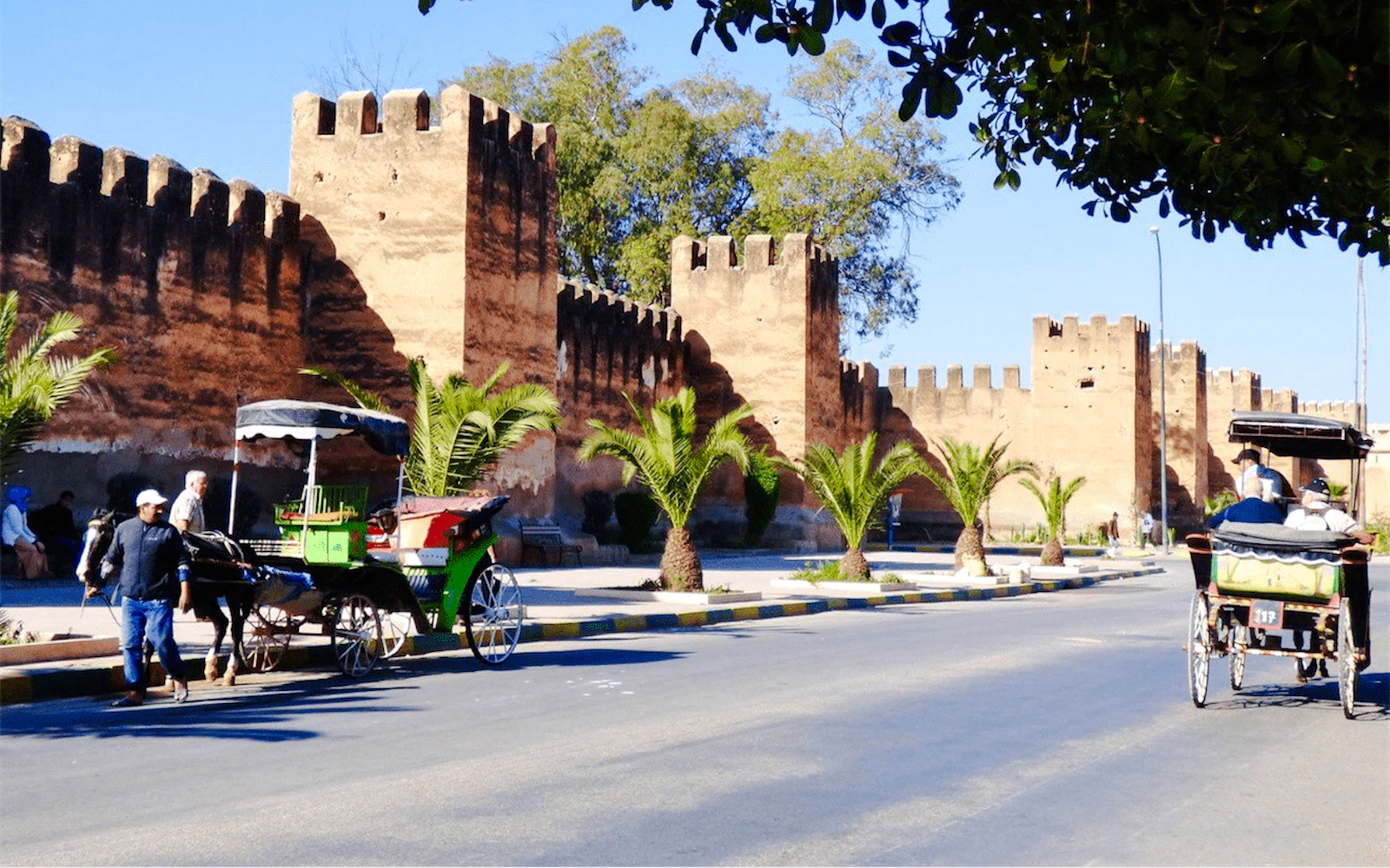 From Taghazout: Taroudant and Tiout Oasis Day Trip with Lunch Image 2