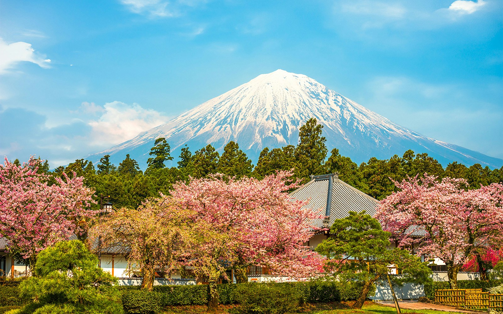 Fujinomiya 5th Station view of Mount Fuji with surrounding lush greenery.