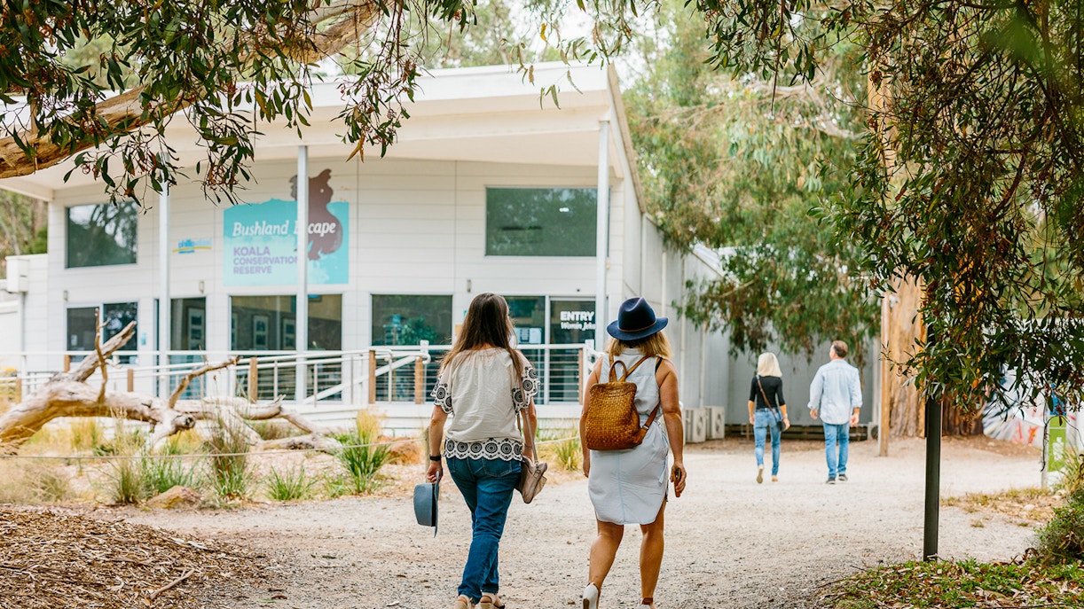 Rules & regulations - Phillip Island tours