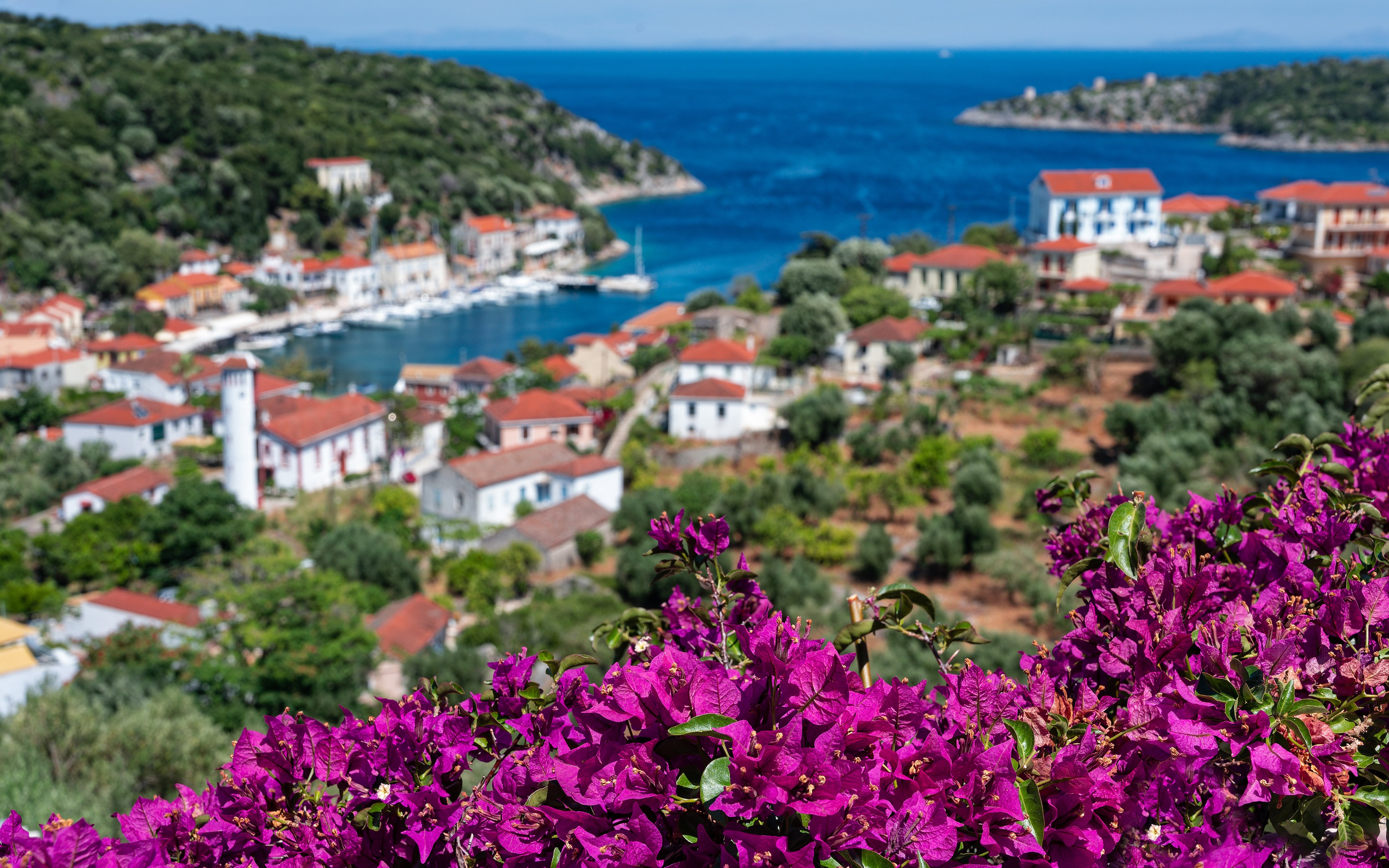 Bougainvillea overlooking Kioni village and harbor, Ithaca, Greece.