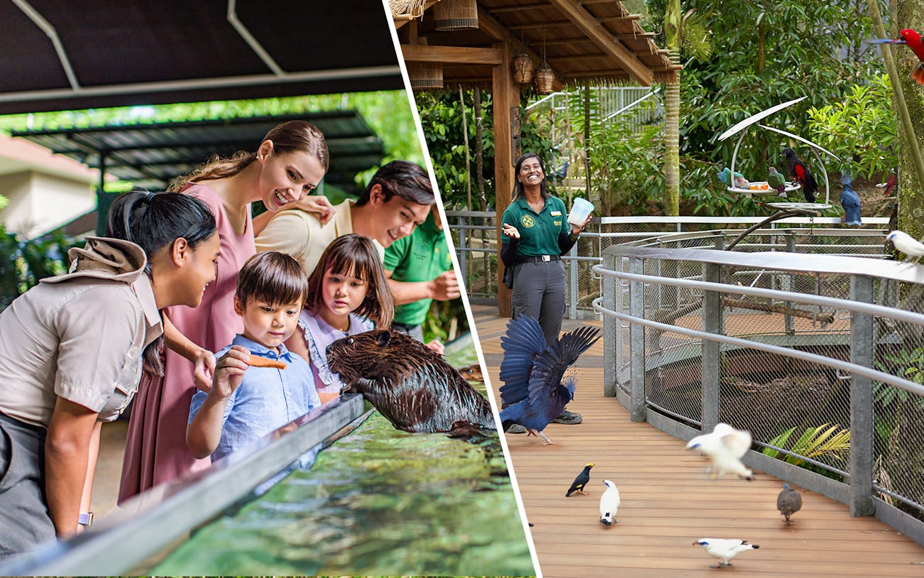 Visitors feeding animals at River Wonders and exploring Bird Paradise.