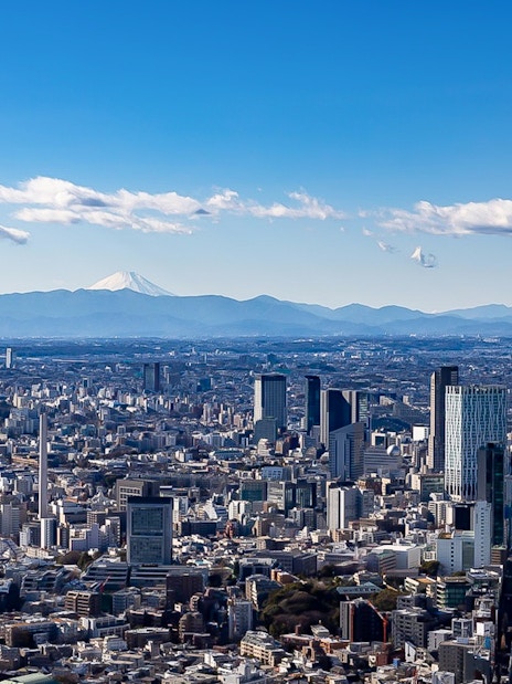 Tokyo skyline view from Roppongi Hills Observation Deck with Mount Fuji in the background.