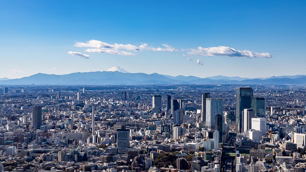 View from Roppongi Hills Observation Deck