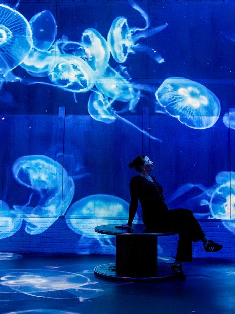 Jellyfish projections at The Sea Exhibition, Fabrique des Lumières.