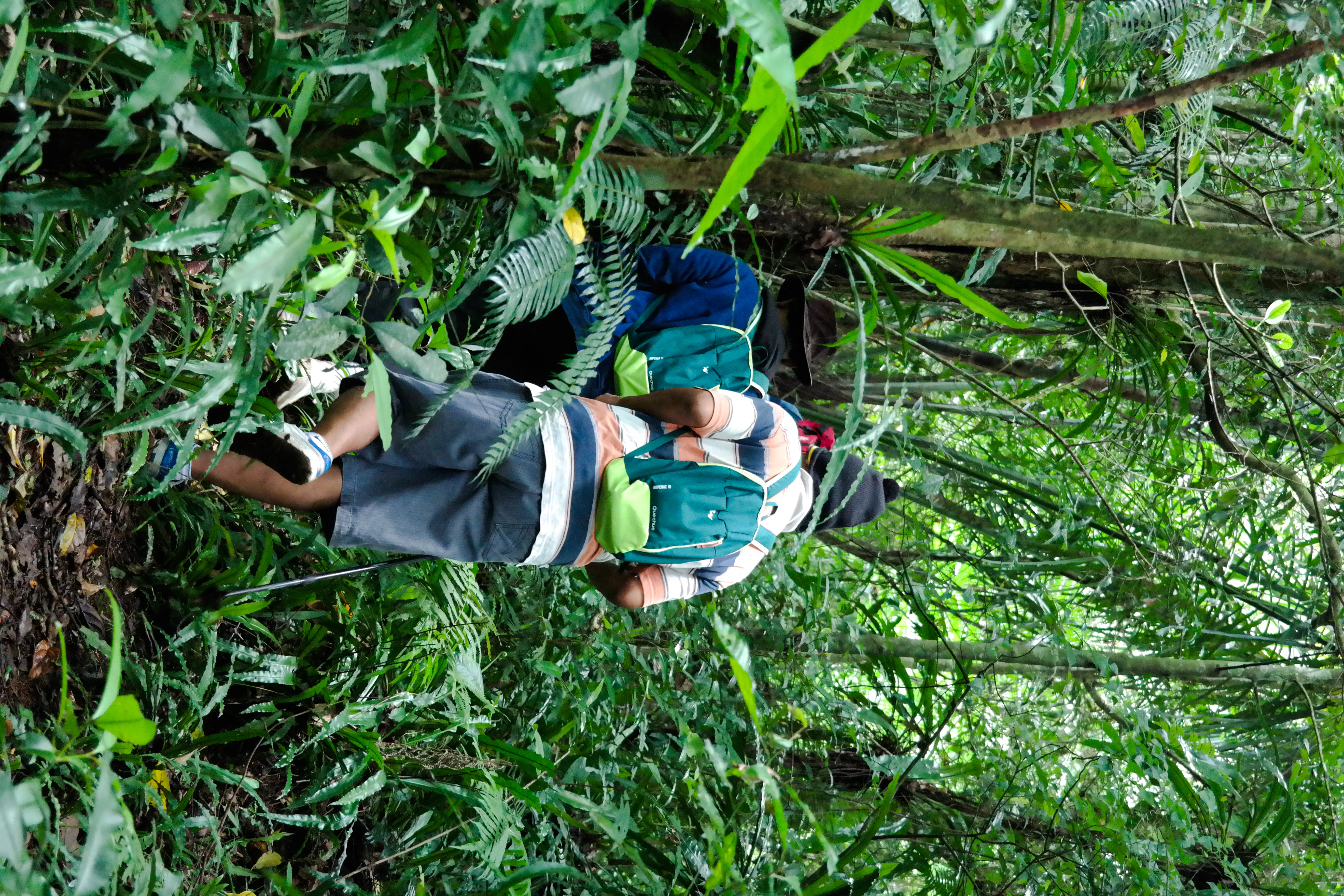 Trekking nella giungla di Bali, gita in canoa e visita alle cascate con pranzo e trasferimenti di andata e ritorno in hotel — 7