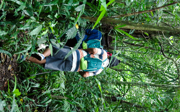 Bali Jungle Trekking, Canoeing & Waterfall Visit with Lunch and Round-Trip Hotel Transfers