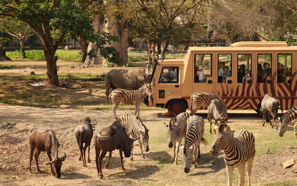 Bali Safari Park Tickets & Meal with Lion View