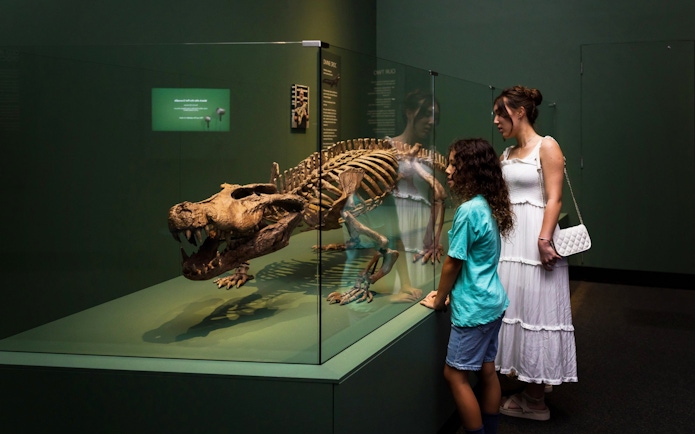 Visitors viewing a crocodile skeleton exhibit at Queensland Museum.