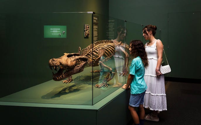Visitors viewing a crocodile skeleton exhibit at Queensland Museum.