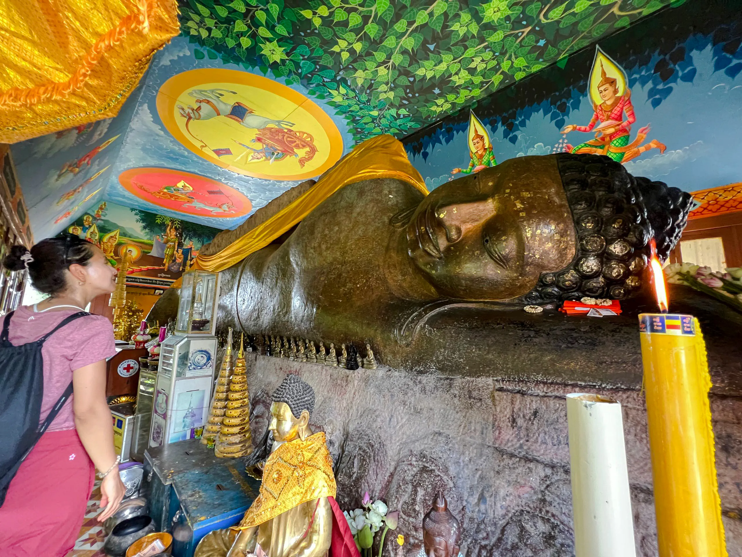 {
  "experiencename": "from siem reap: kulen mountain waterfall & kulen elephant forest tour with picnic lunch"
}-9